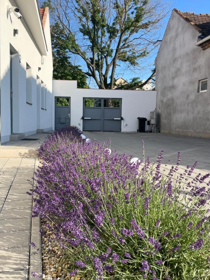 Dream Apartman Levél Exterior foto